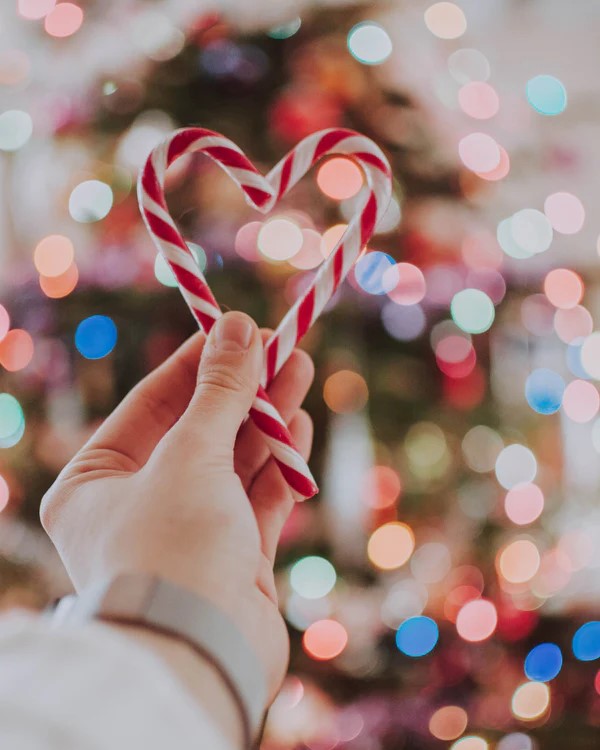 hand holding candy canes in heart shape