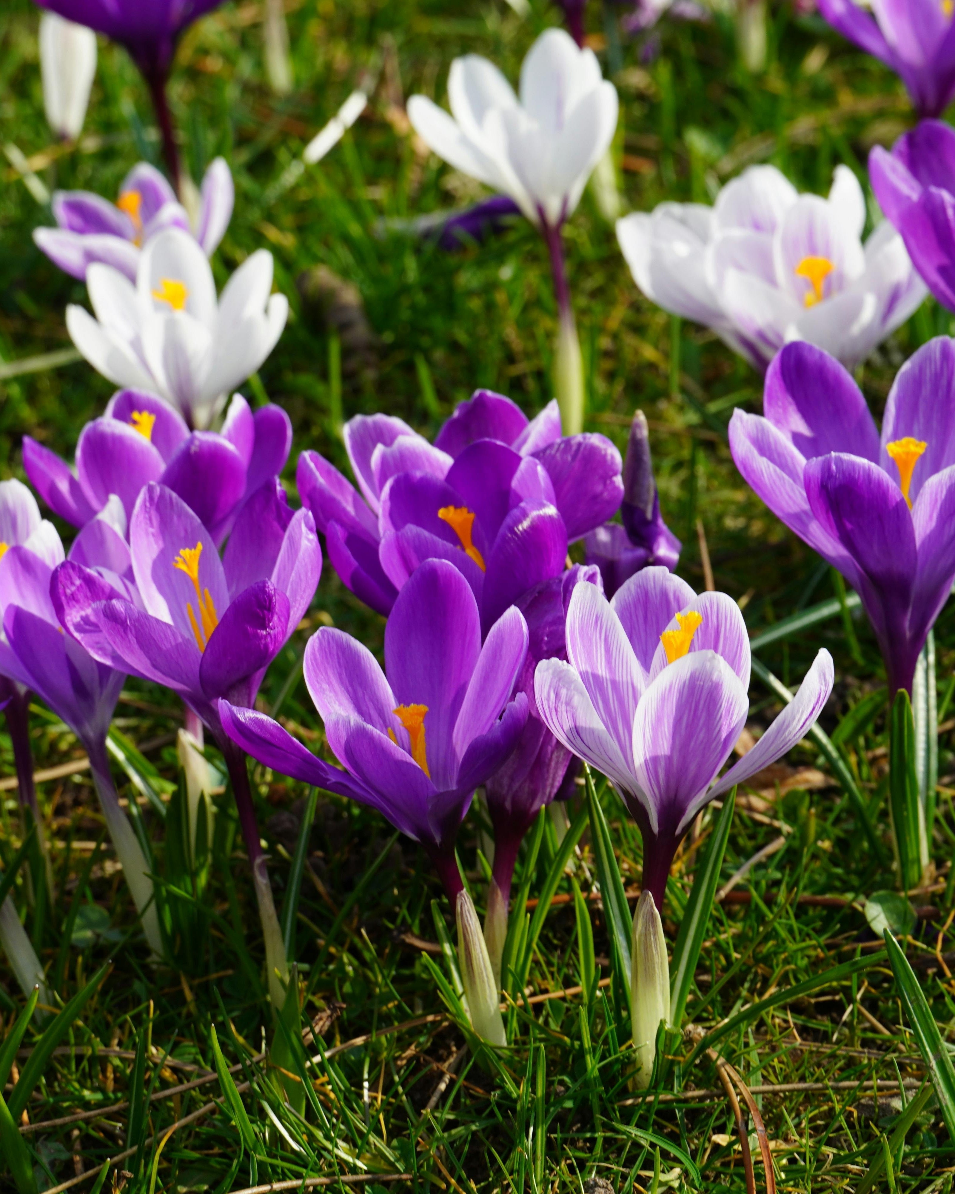 Spring Cleaning 101: Getting Your Bedroom, Bathroom, and Guest Rooms Ready for Spring