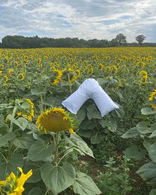 V-Pillow in sunflower field