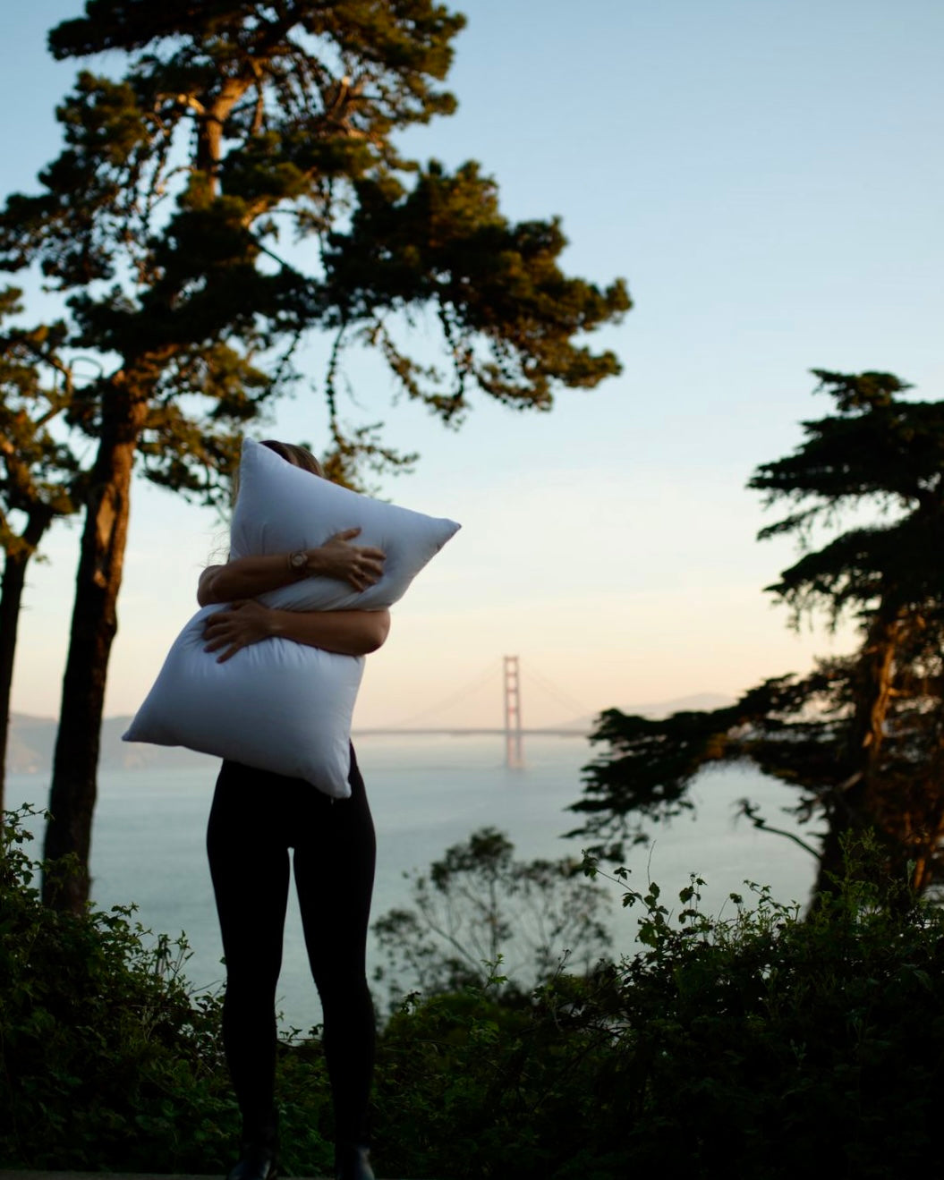 What Is “The Hyatt Pillow”?