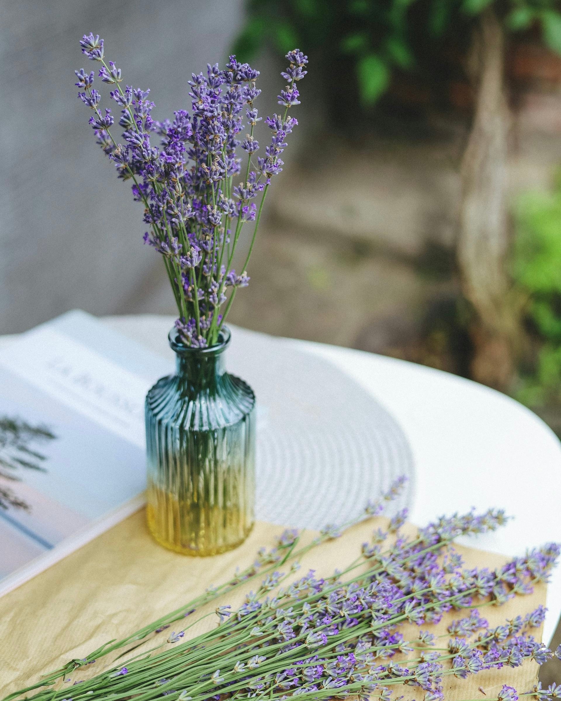 vase of lavender