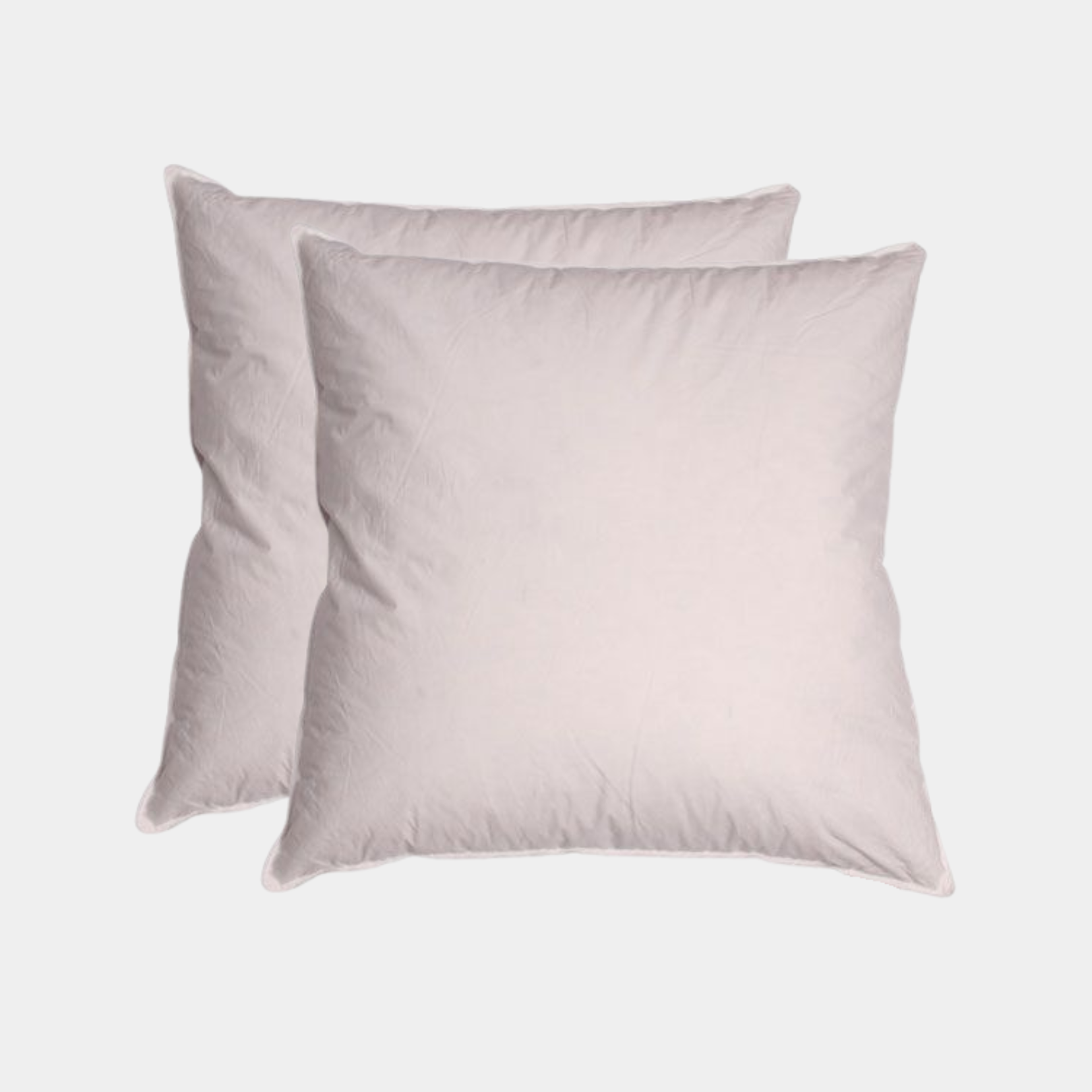 25/75 Euro Square Pillow Bundle: 25/75 white goose down and feather pillows with pillow protectors