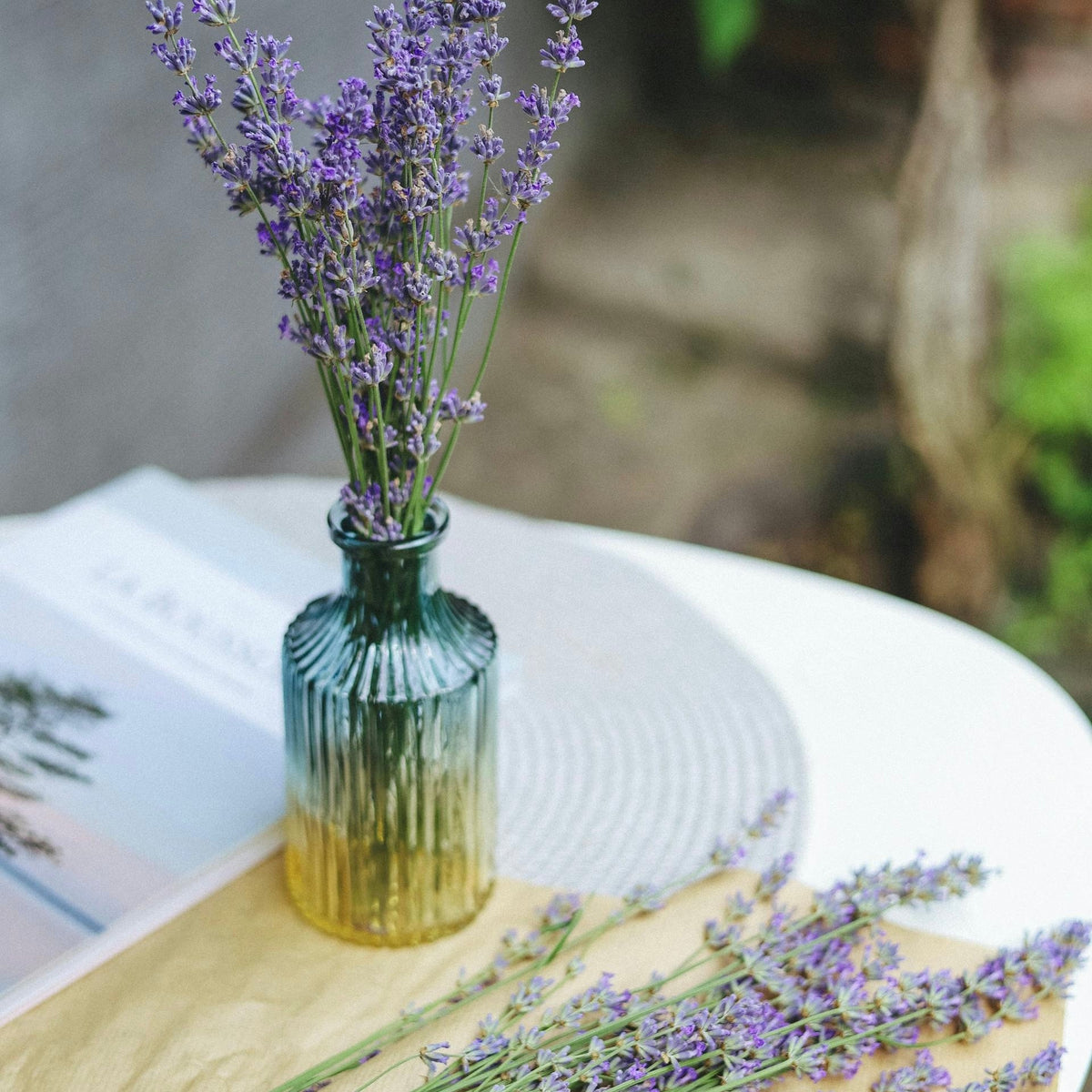 The Beauty and Benefits of Lavender in Your Home